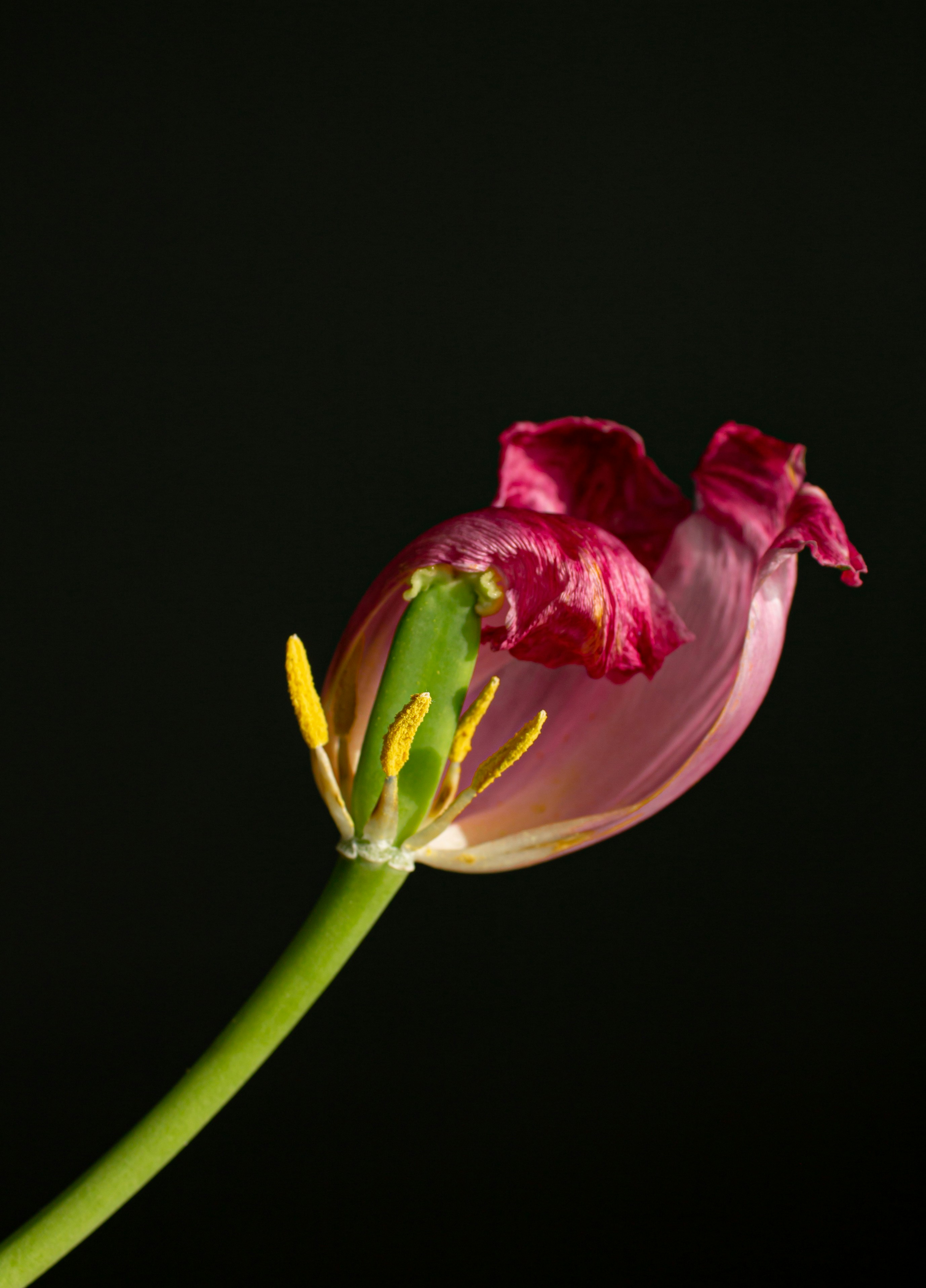 Photo by albina___white