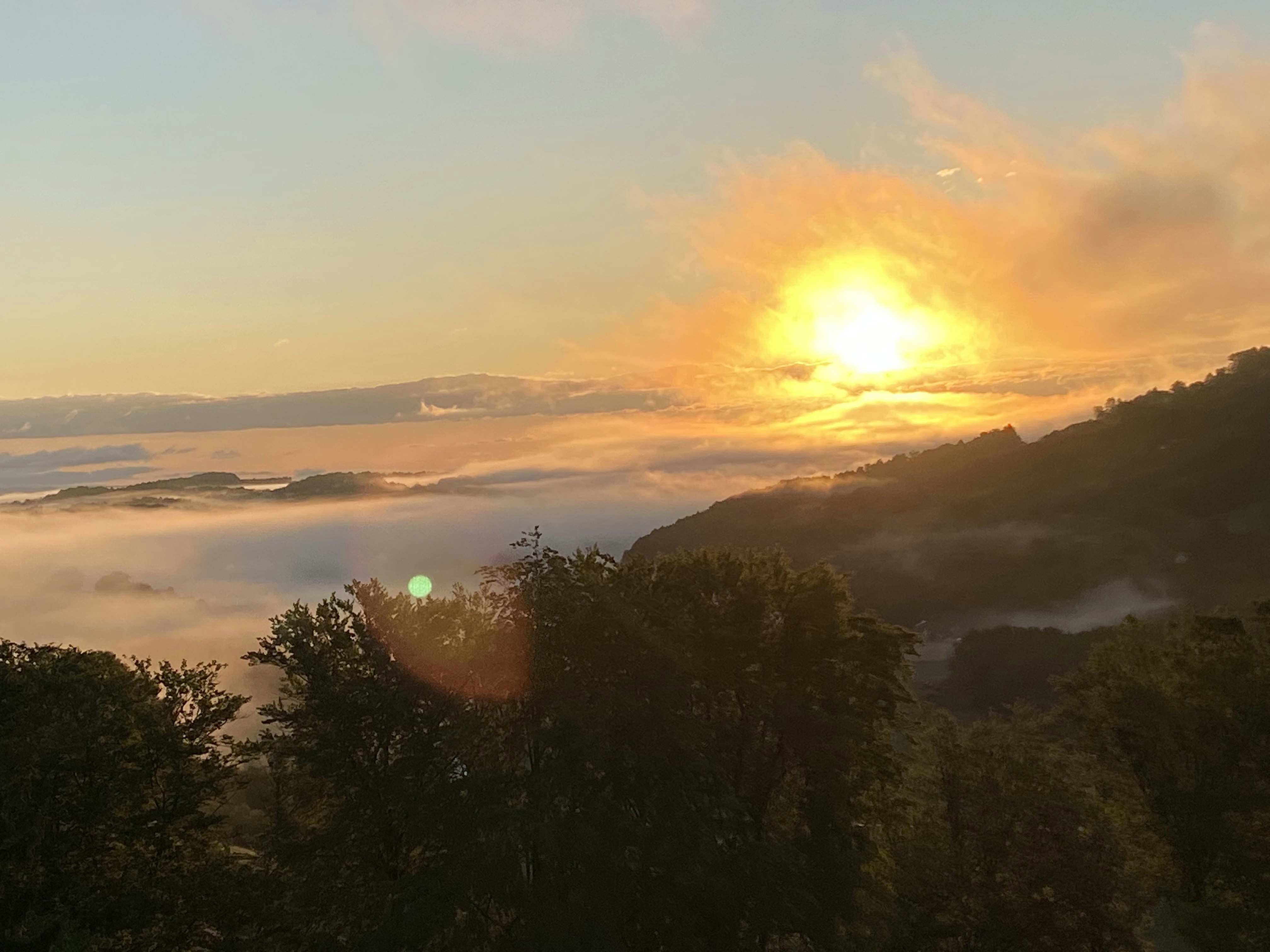 Dipinto: Alba Dorata