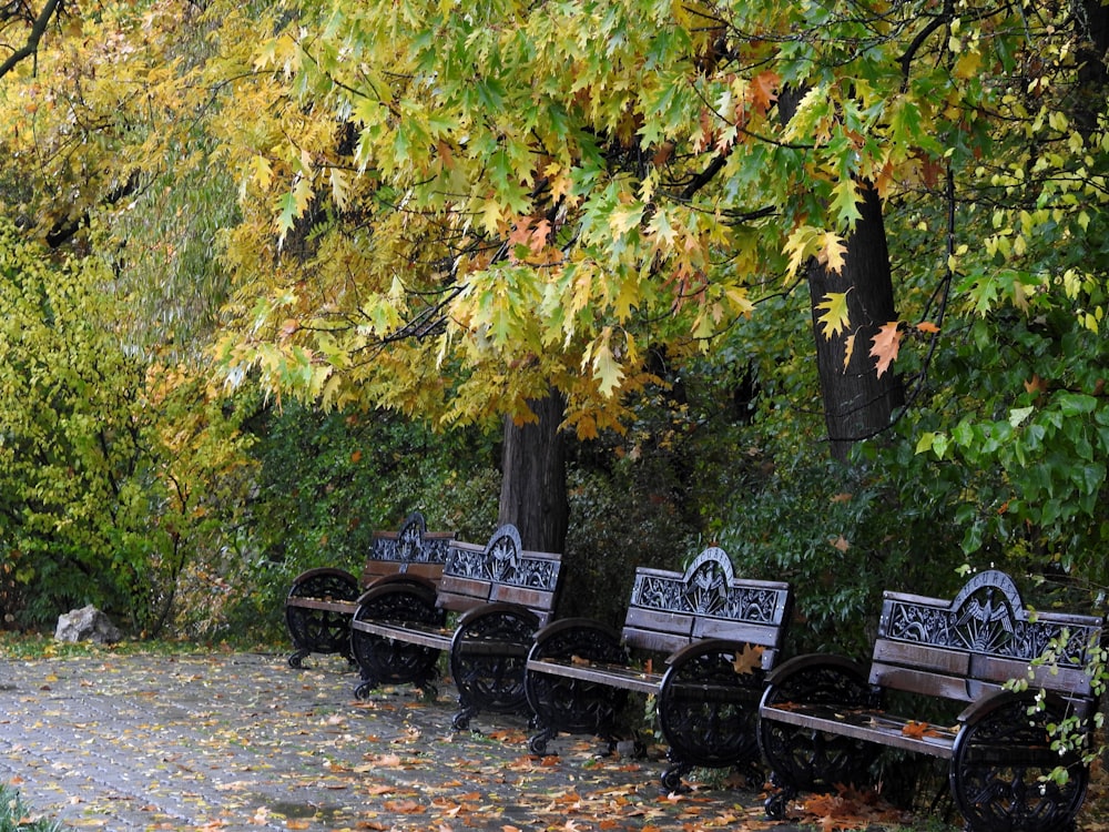 white and black bench near green trees during daytime