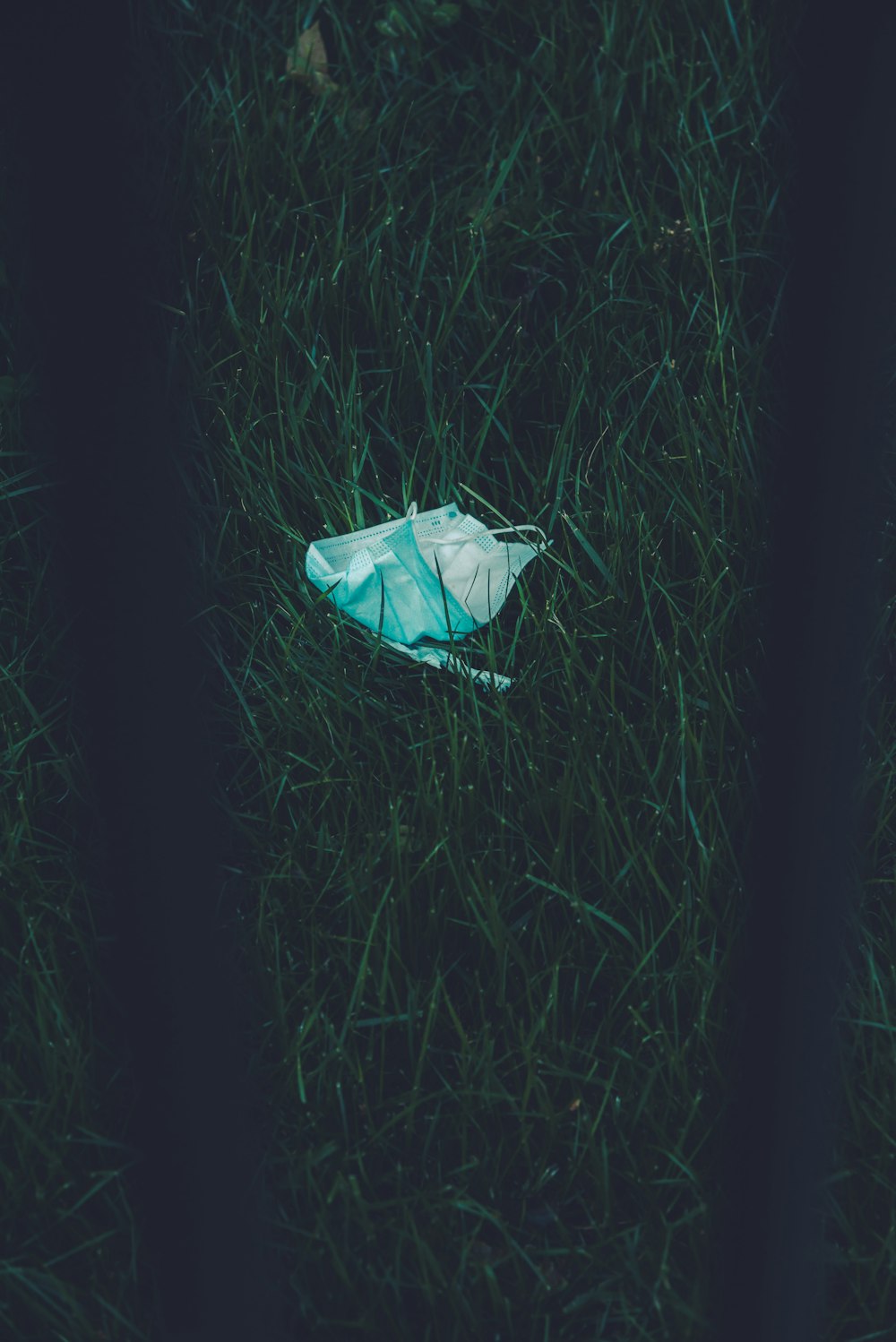 white plastic bag on green grass