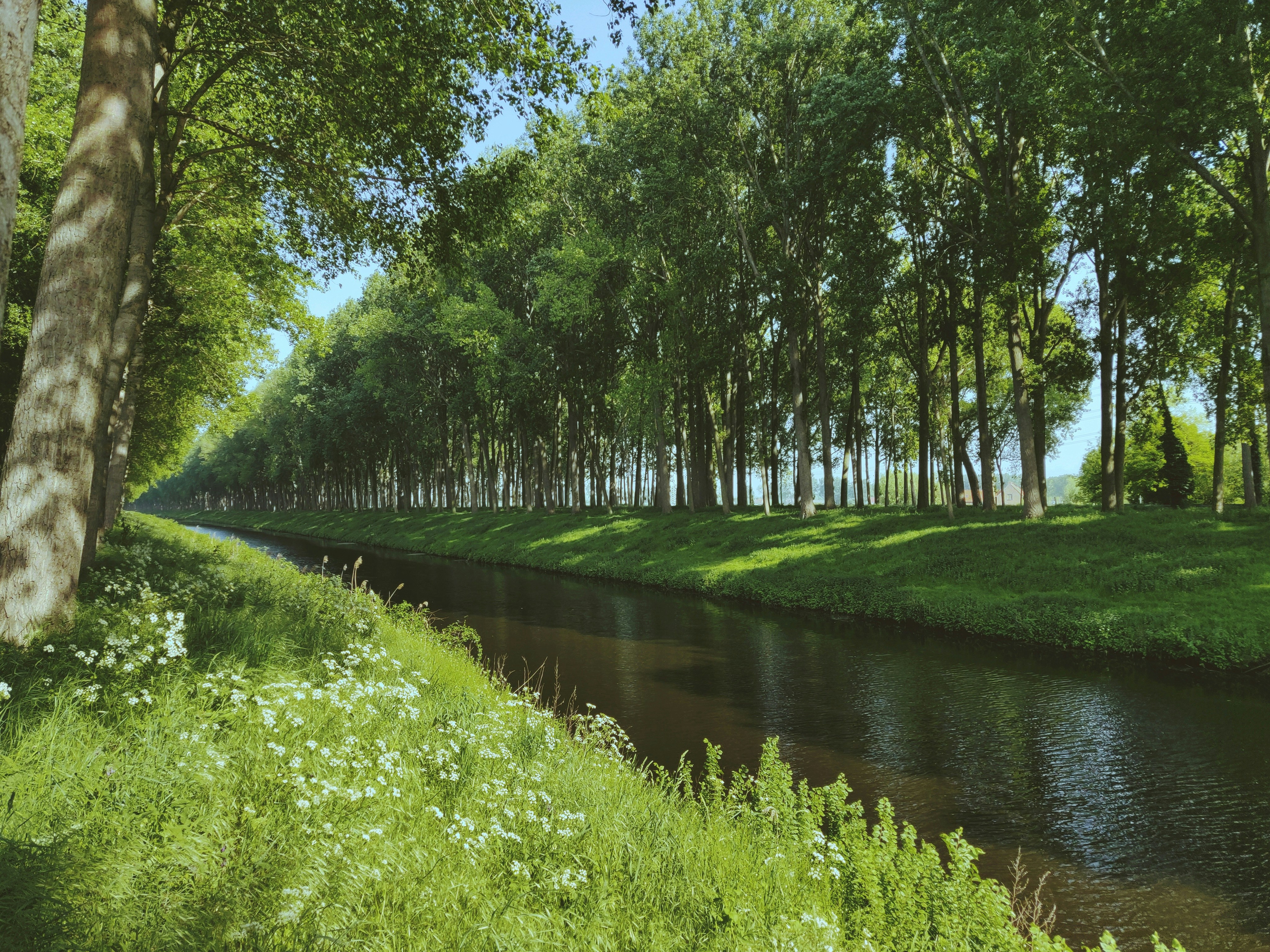 green grass field near river,</p><p>The Canal of Damme, Belgium