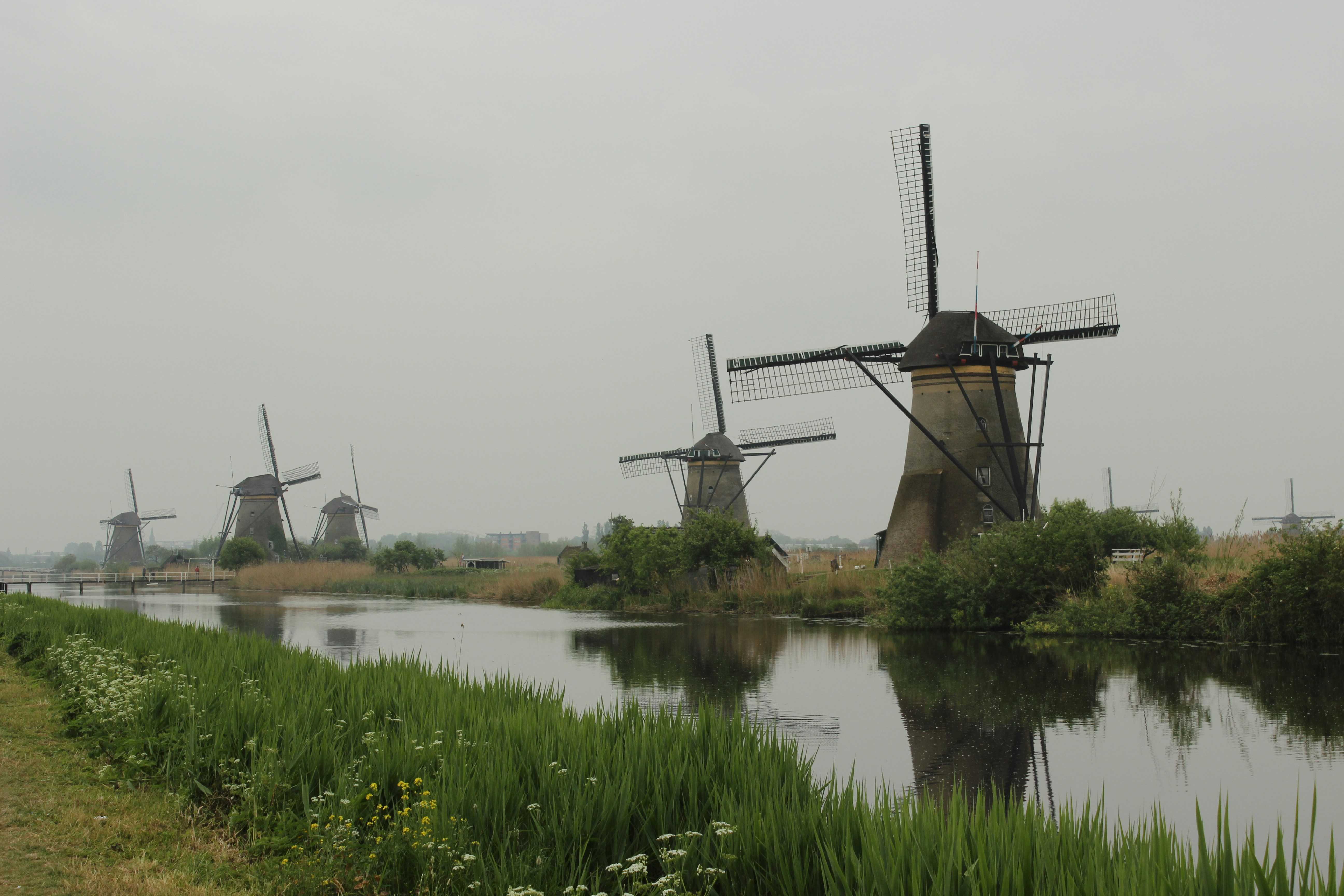wind