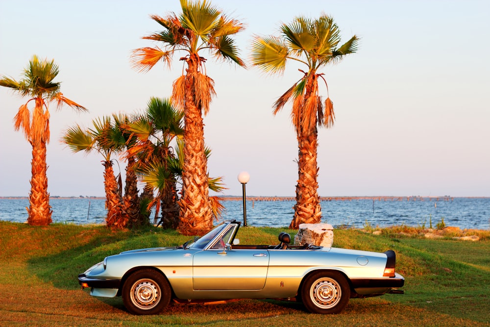 Auto decappottabile bianca parcheggiata accanto alla palma durante il giorno