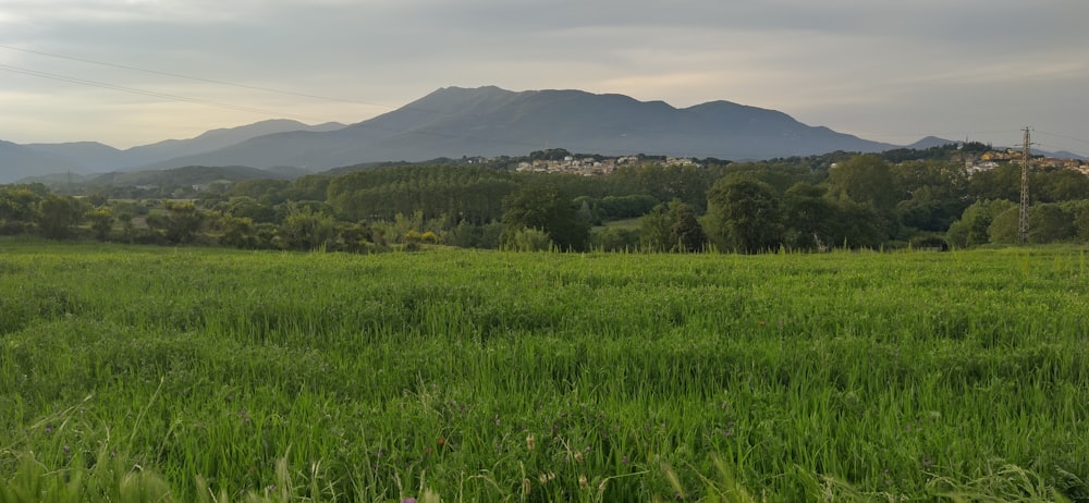 green grass field near mountain during daytime