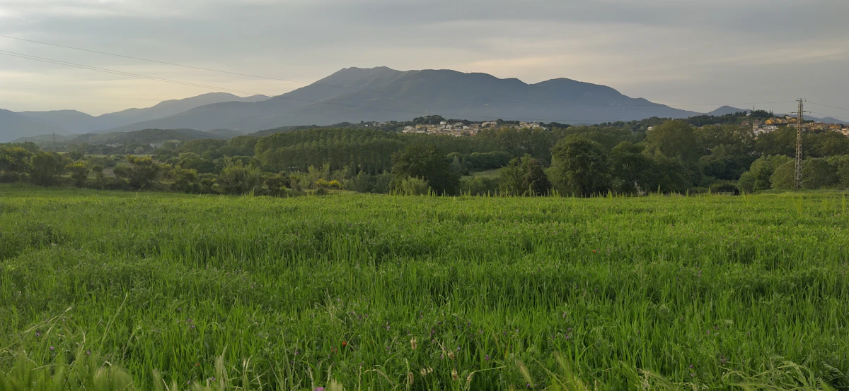 Green meadow and forested hills in the Montseny massif