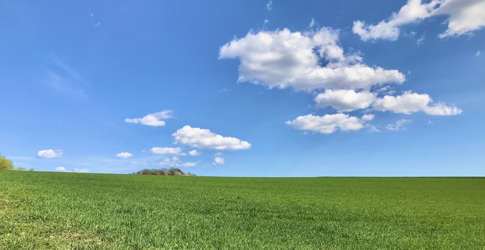 green grass field under blue sky and white clouds during daytime