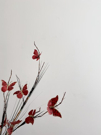 A minimalist poster design with subtle butterfly motifs on a black background.