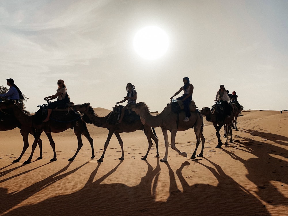 persone che cavalcano il cammello sul deserto durante il giorno