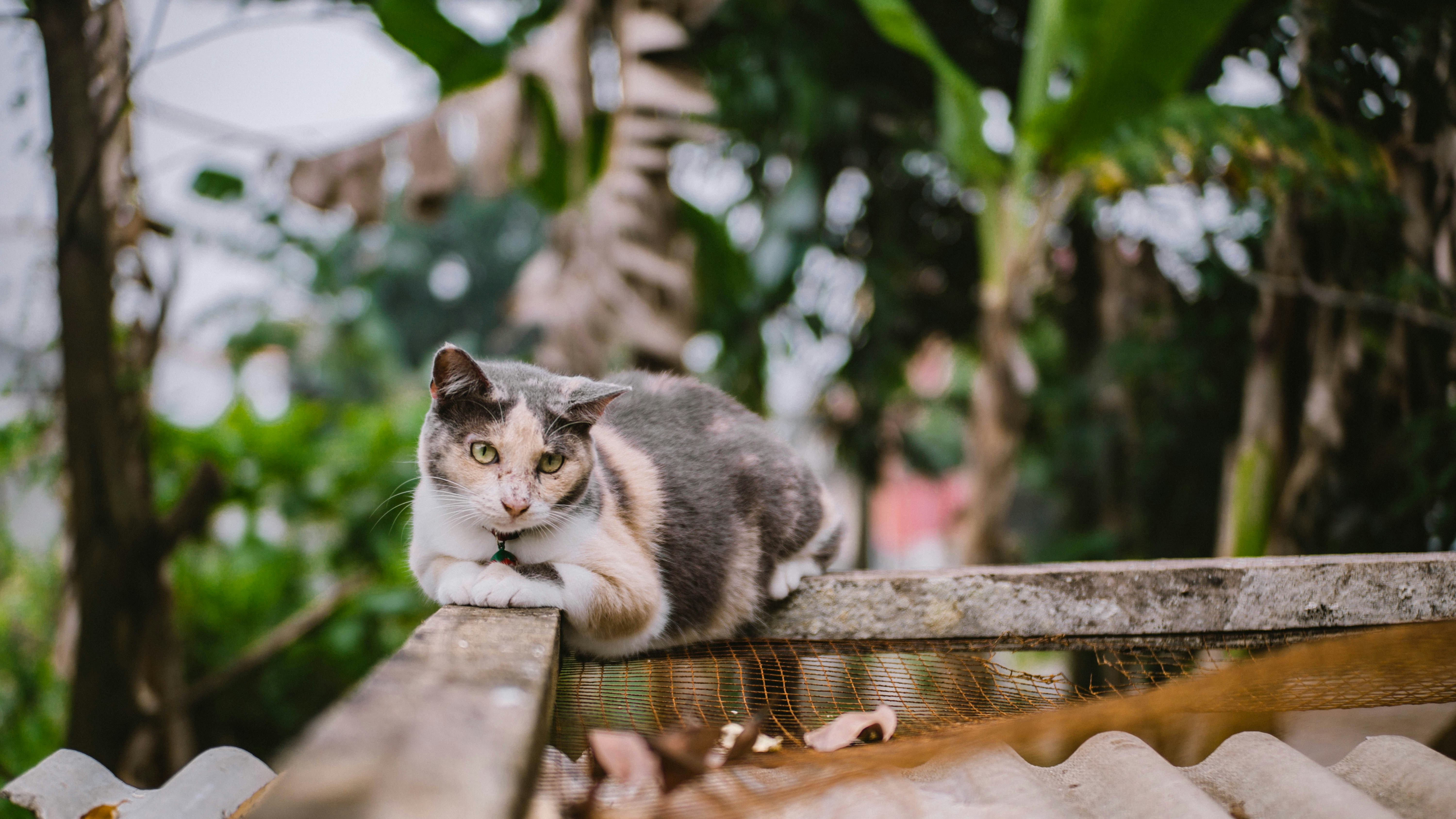 Photo by gemasaputera