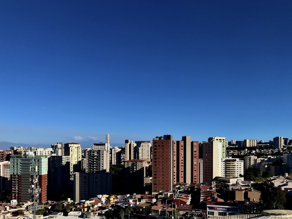 city skyline under blue sky during daytime