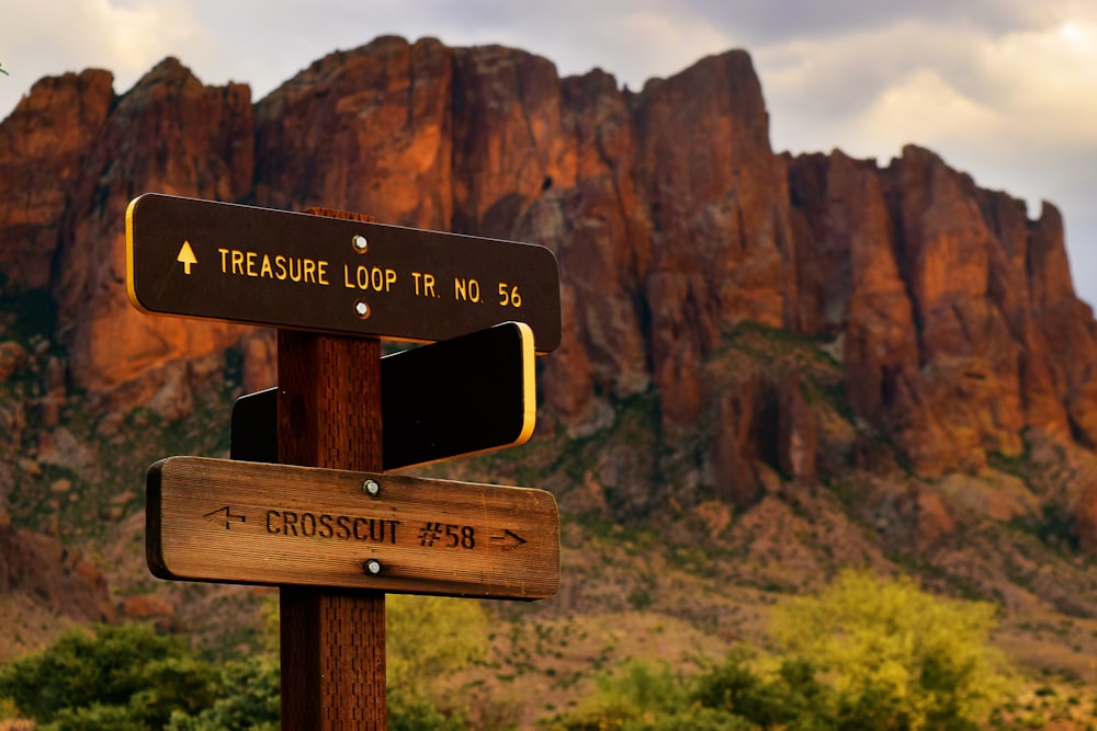 a wooden sign with a mountain in the background