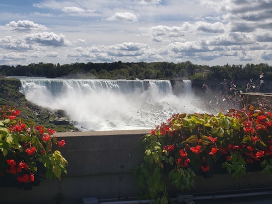 American Falls things to do in Niagara River