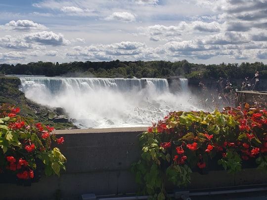 American Falls things to do in Niagara Falls