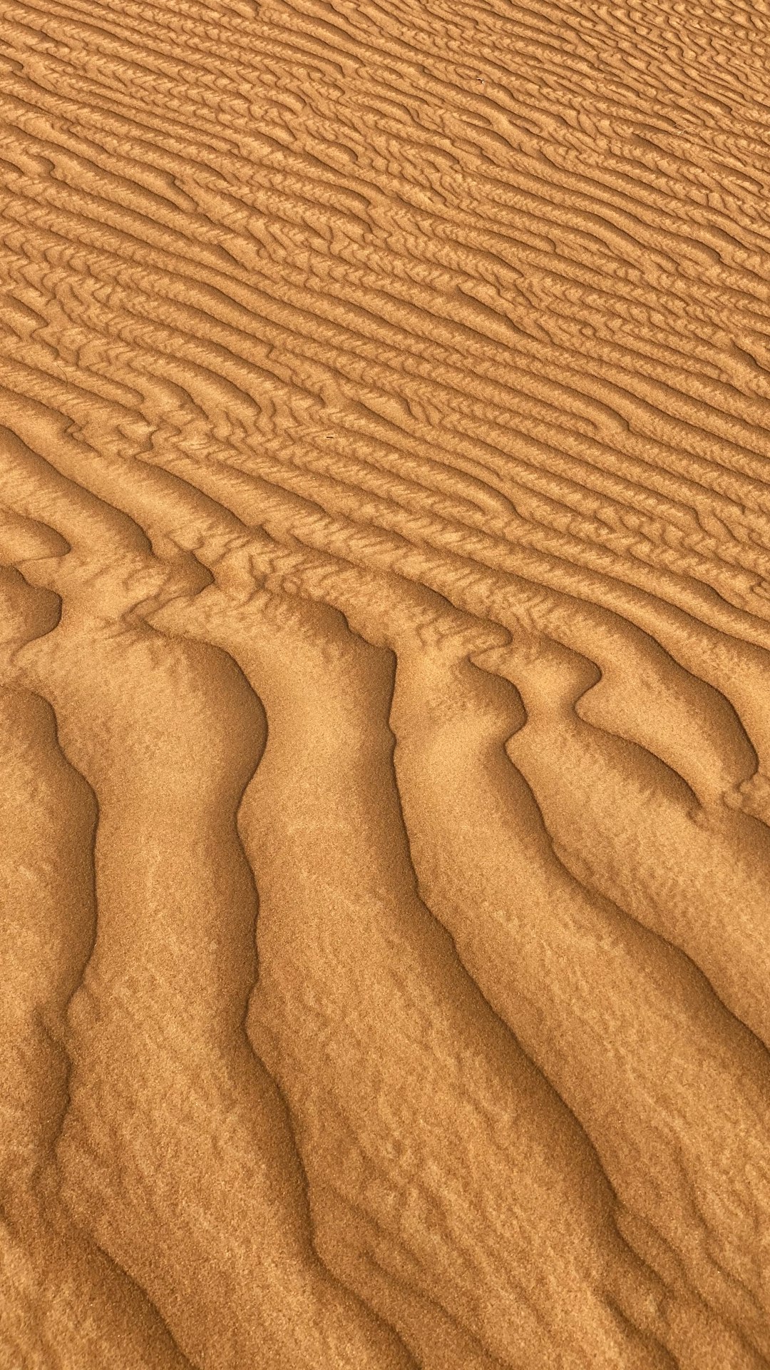 Desert photo spot Ramlat Al Ghozlan Al Madam