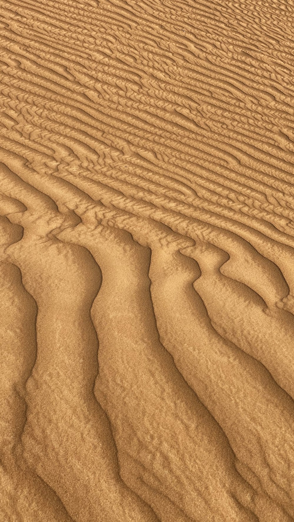 brown sand with footprints during daytime