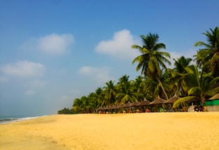 A scenic view of a Jamaican beach with palm trees.