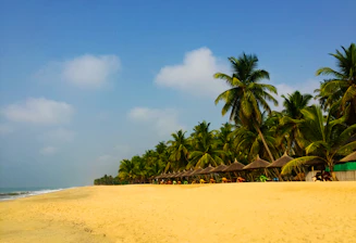 A scenic view of a sunny beach with palm trees and clear blue water, inviting for travel.