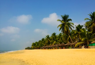 A scenic view of a beachfront lounge with elegant seating and palm trees under a clear sky.