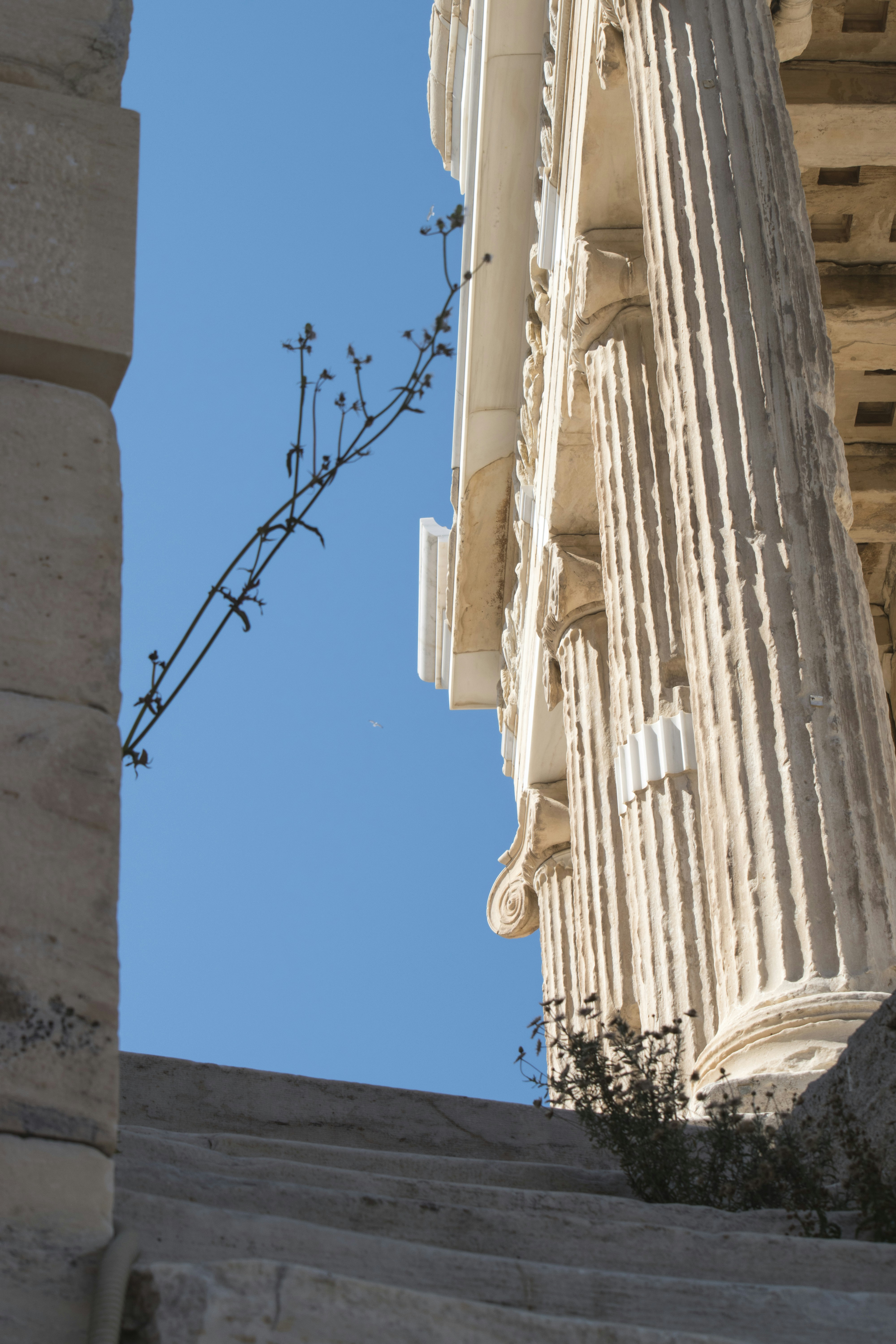 white concrete building under blue sky during daytime