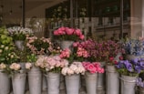 pink flowers in gray steel bucket