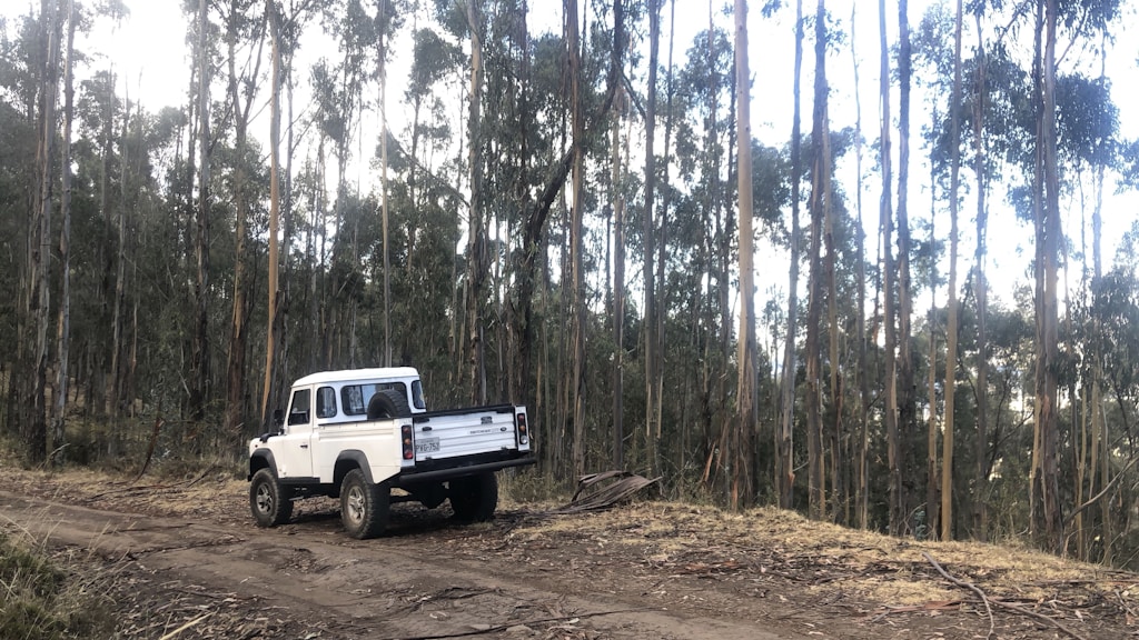 White Pickup