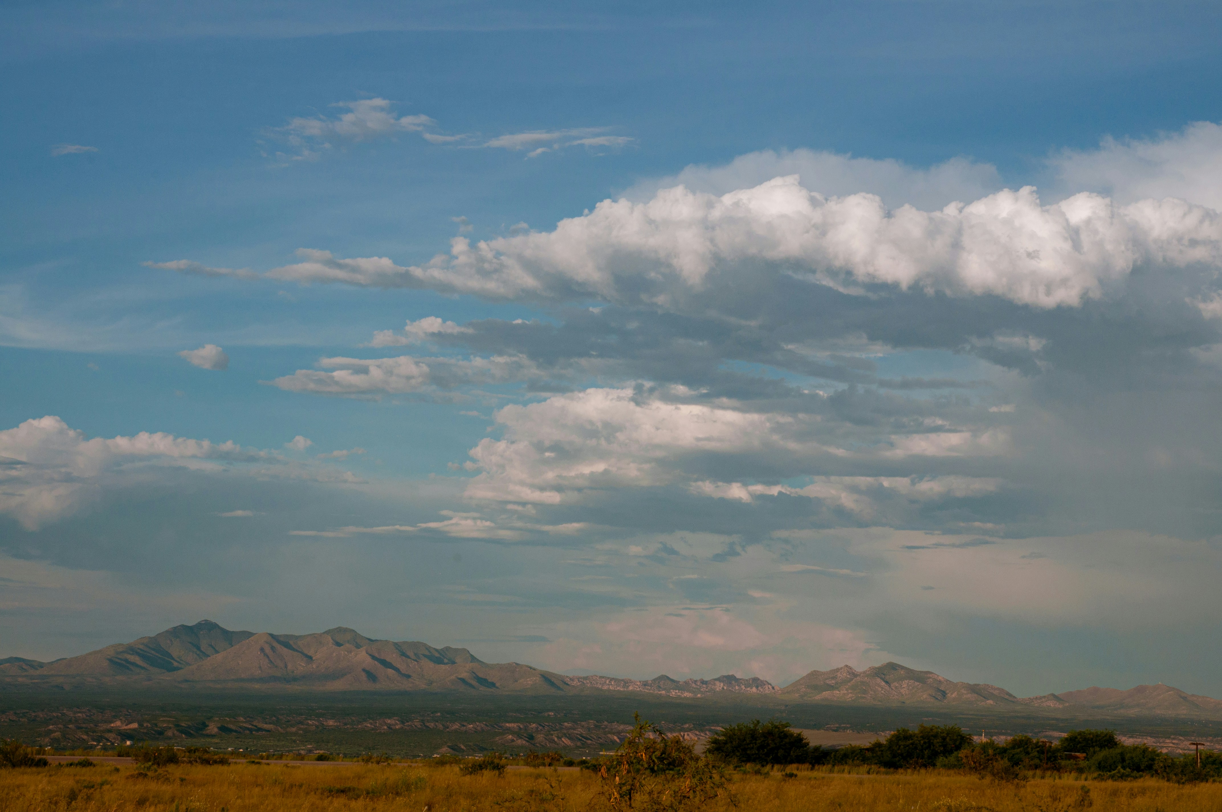 Photo by drewdempsey