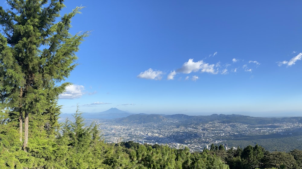 árboles verdes y montañas bajo el cielo azul durante el día