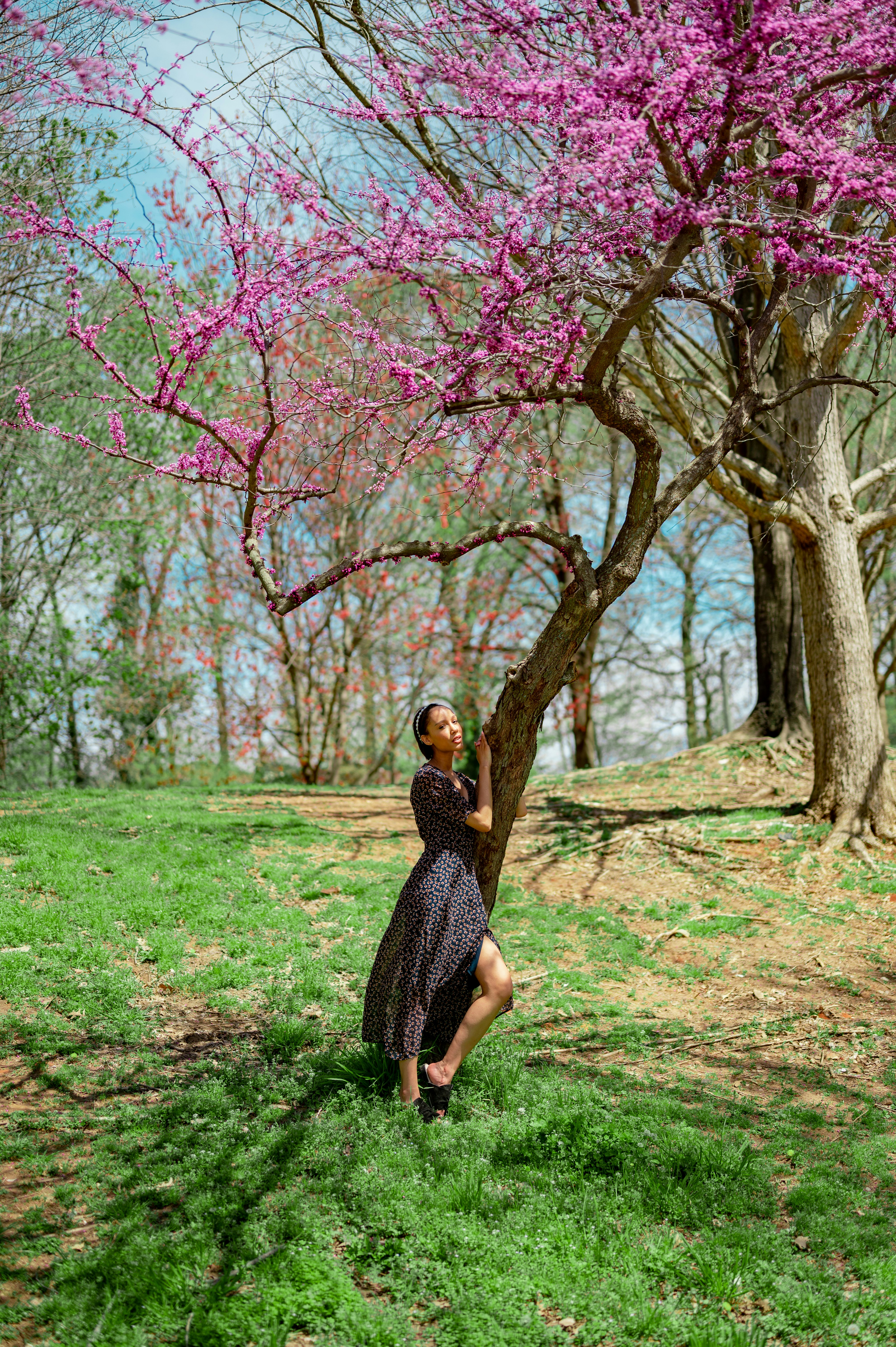 woman in black and white dress standing under pink cherry blossom tree during daytime