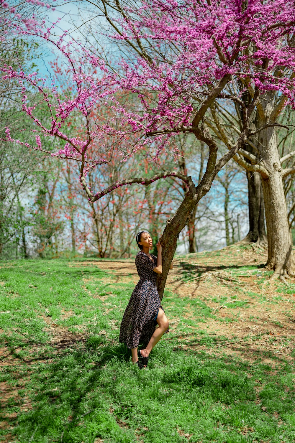woman in black and white dress standing under pink cherry blossom tree during daytime