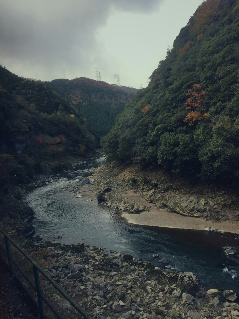 river between green trees during daytime