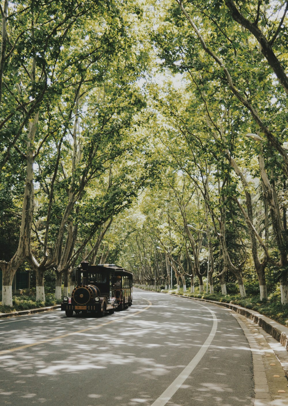 black and brown train on rail road between green trees during daytime