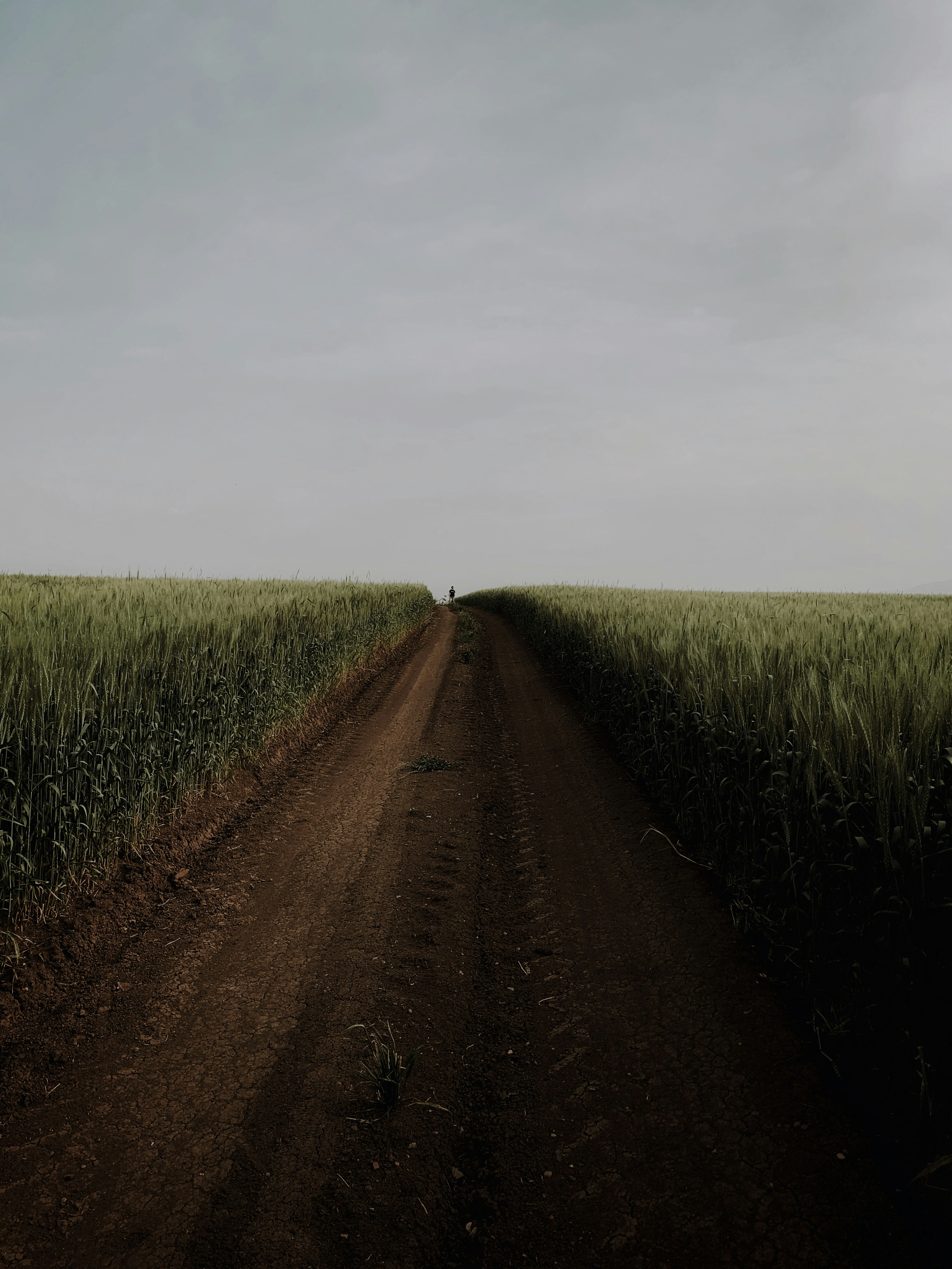 Photo by dastan_khdir