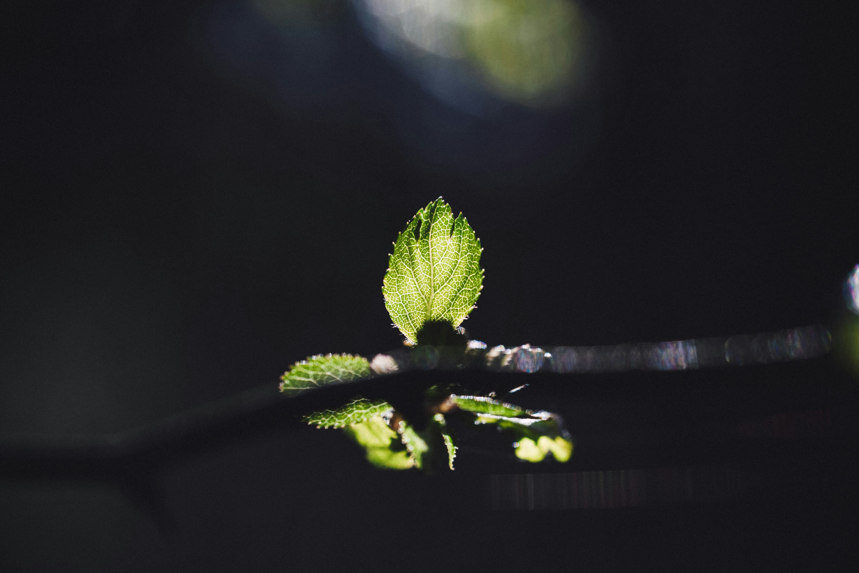 Photo by markusspiske