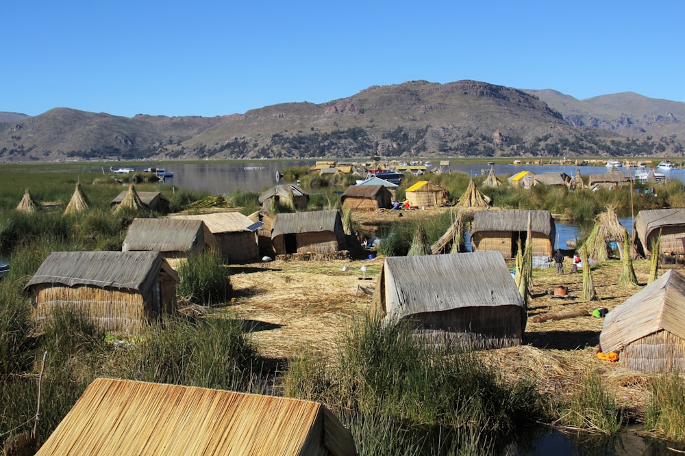 brown wooden houses on green grass field during daytime