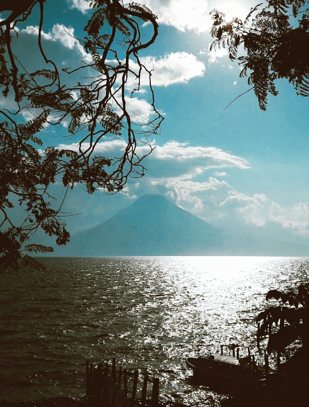 silhouette of tree near body of water and mountain under cloudy sky during daytime