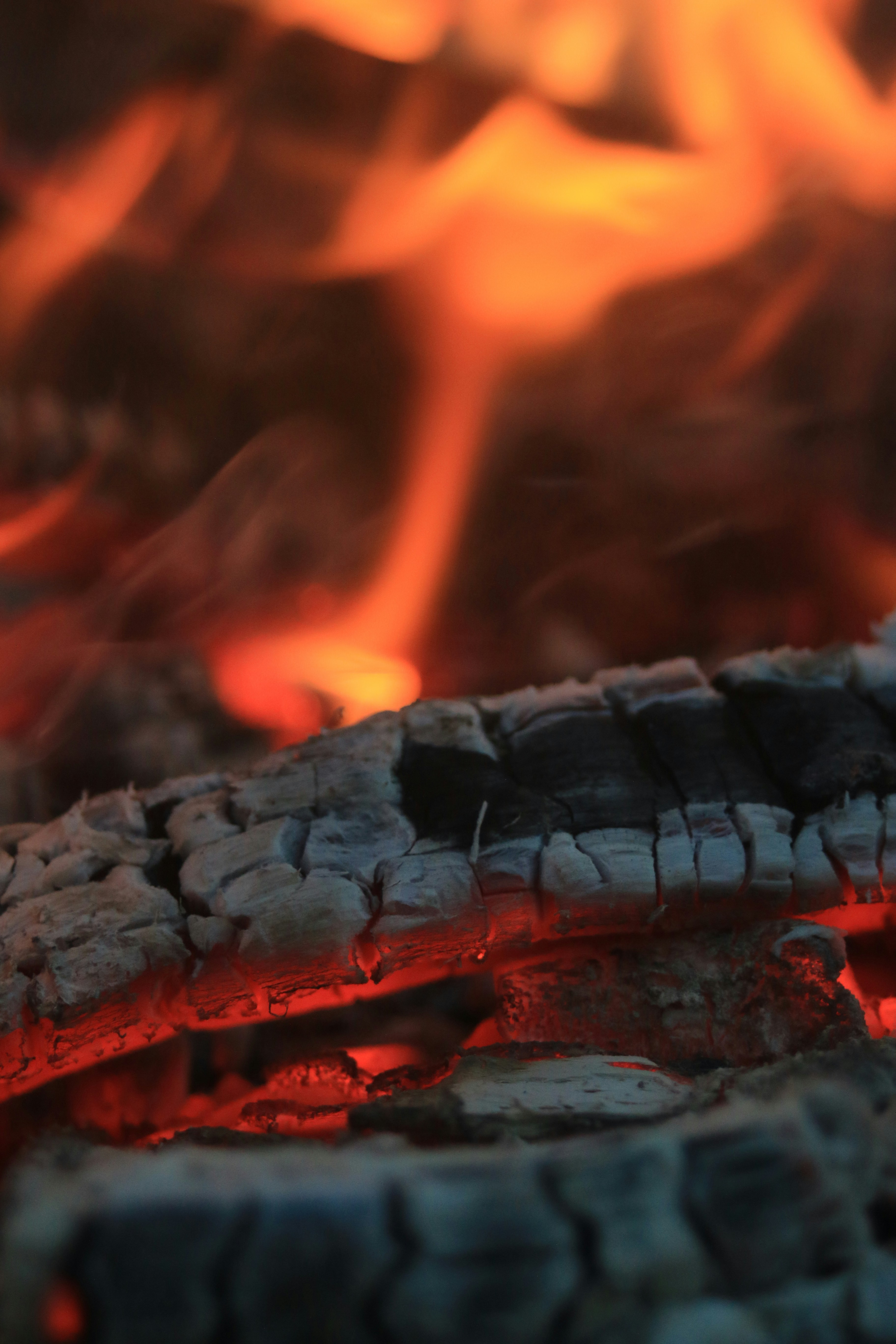 Photo by whoisdiffrnt