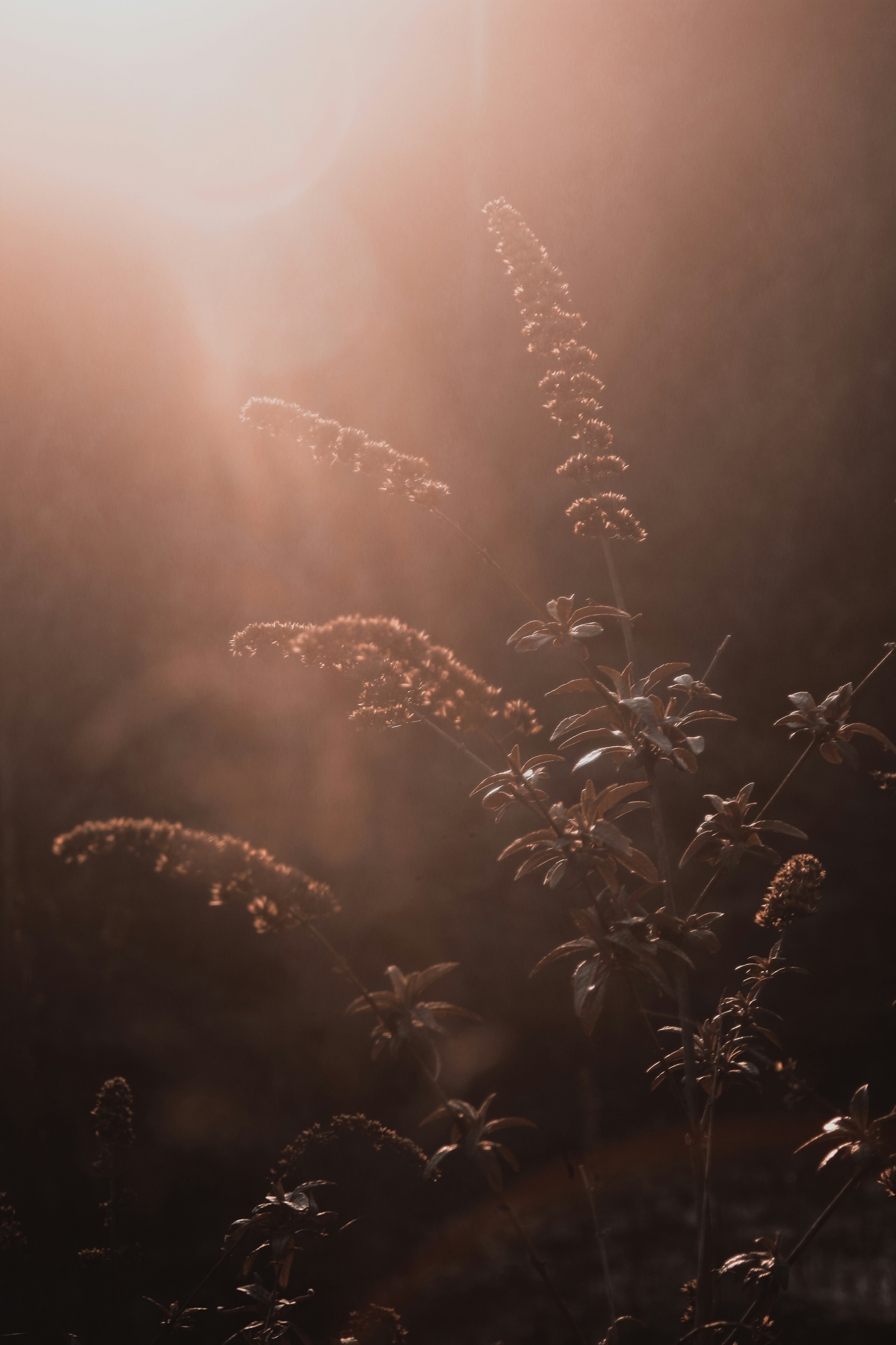 Photo by whoisdiffrnt