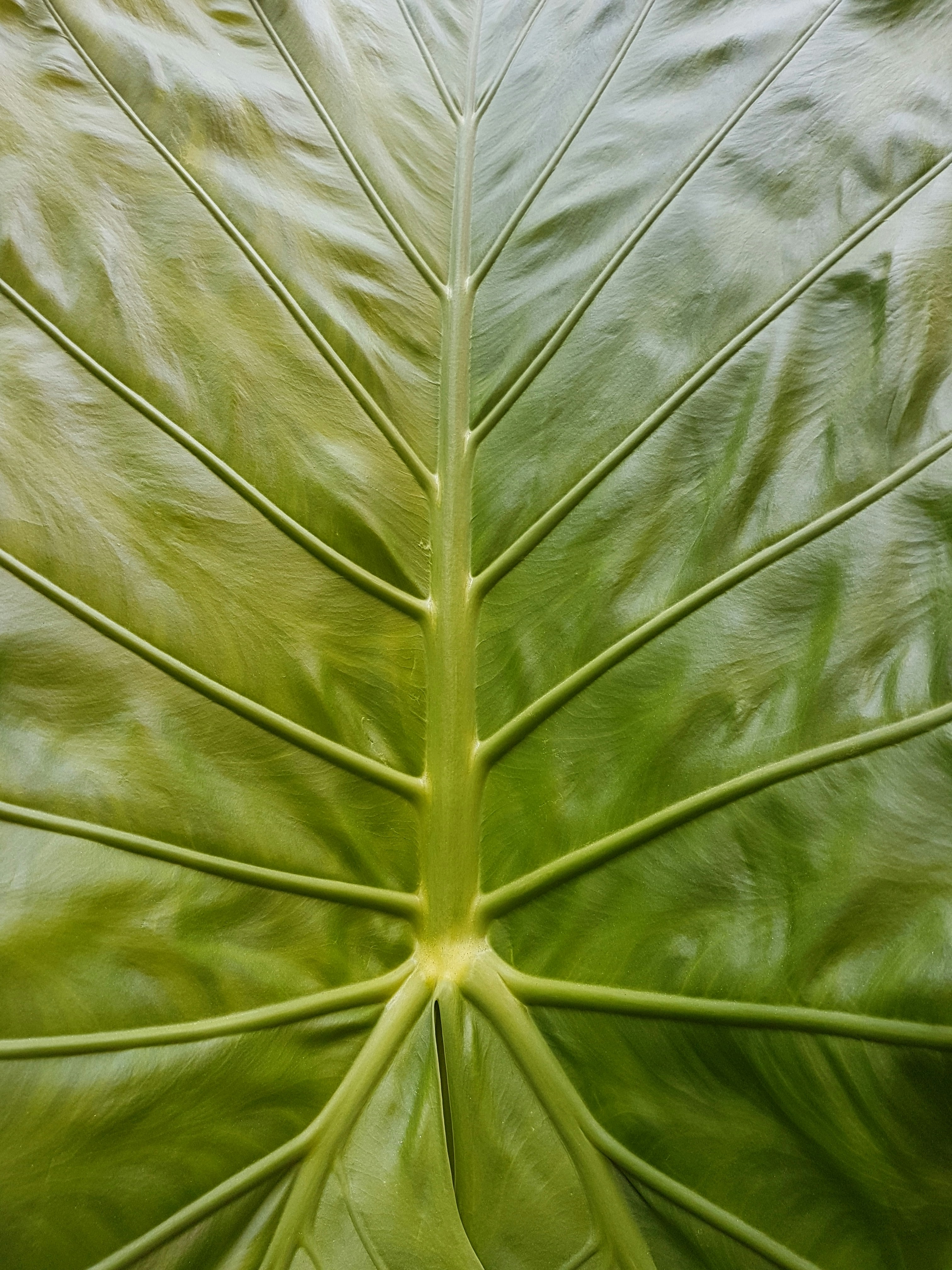 Photo by whoisdiffrnt