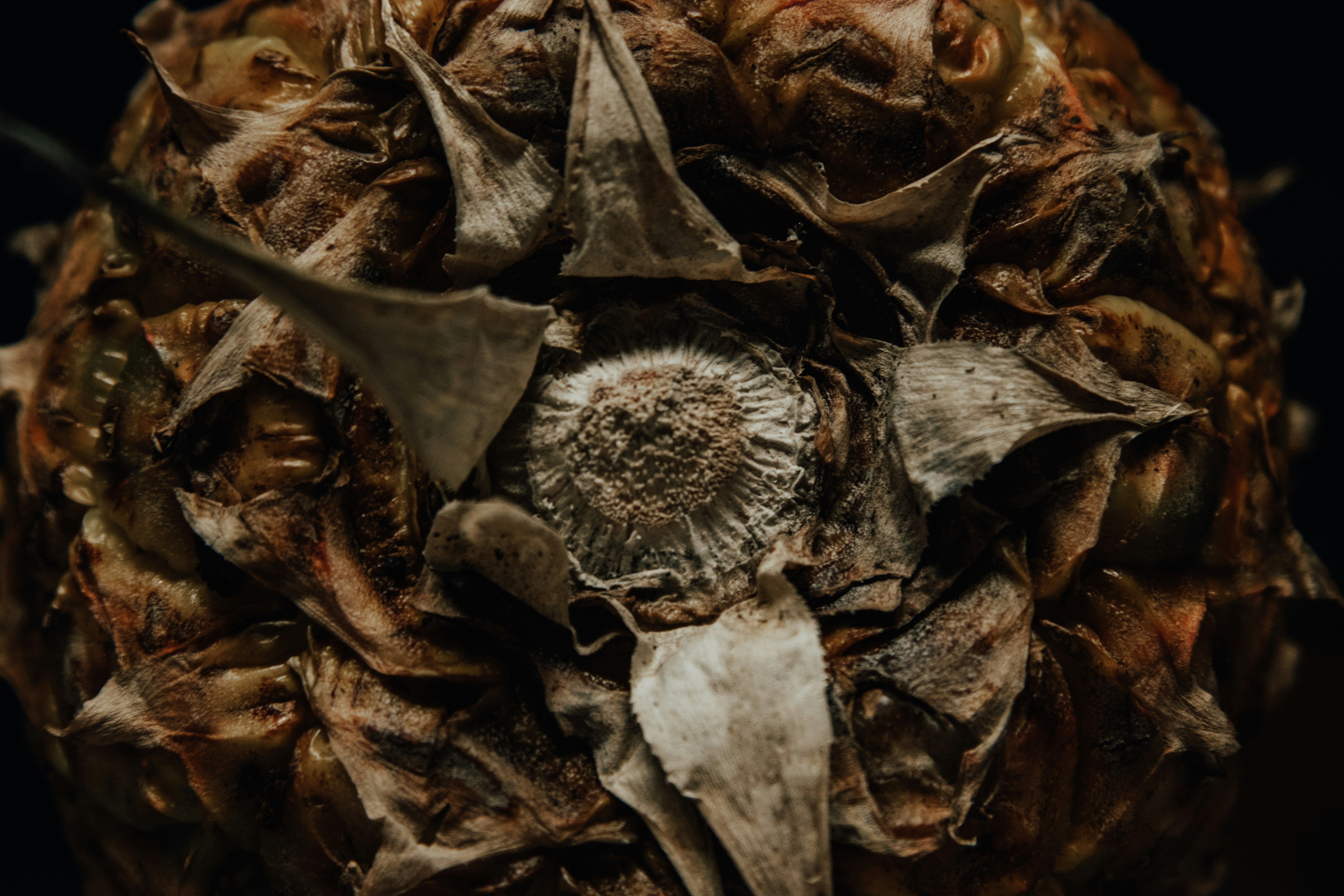 Photo by therealcaique