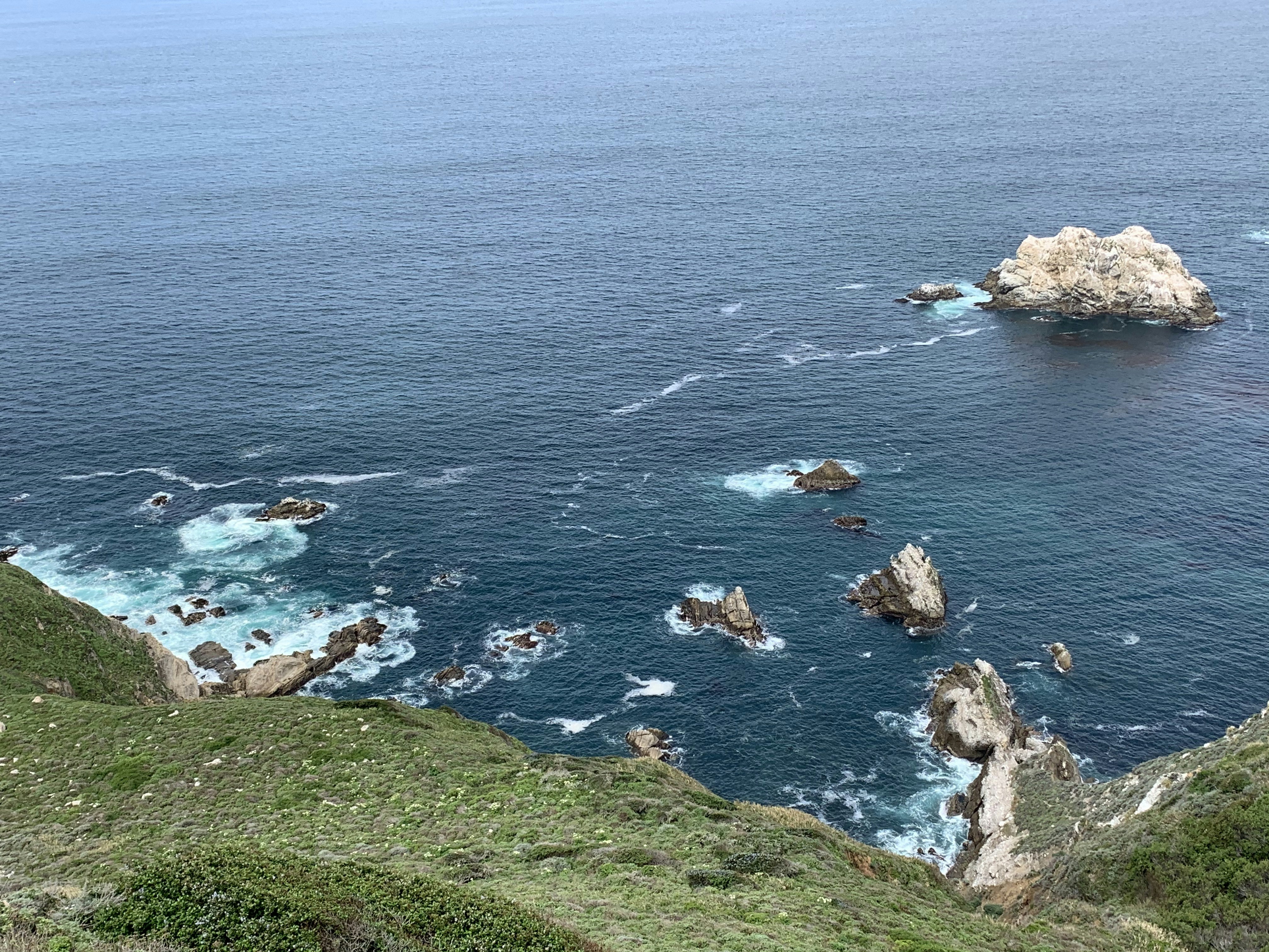 Photo by marthagreenery