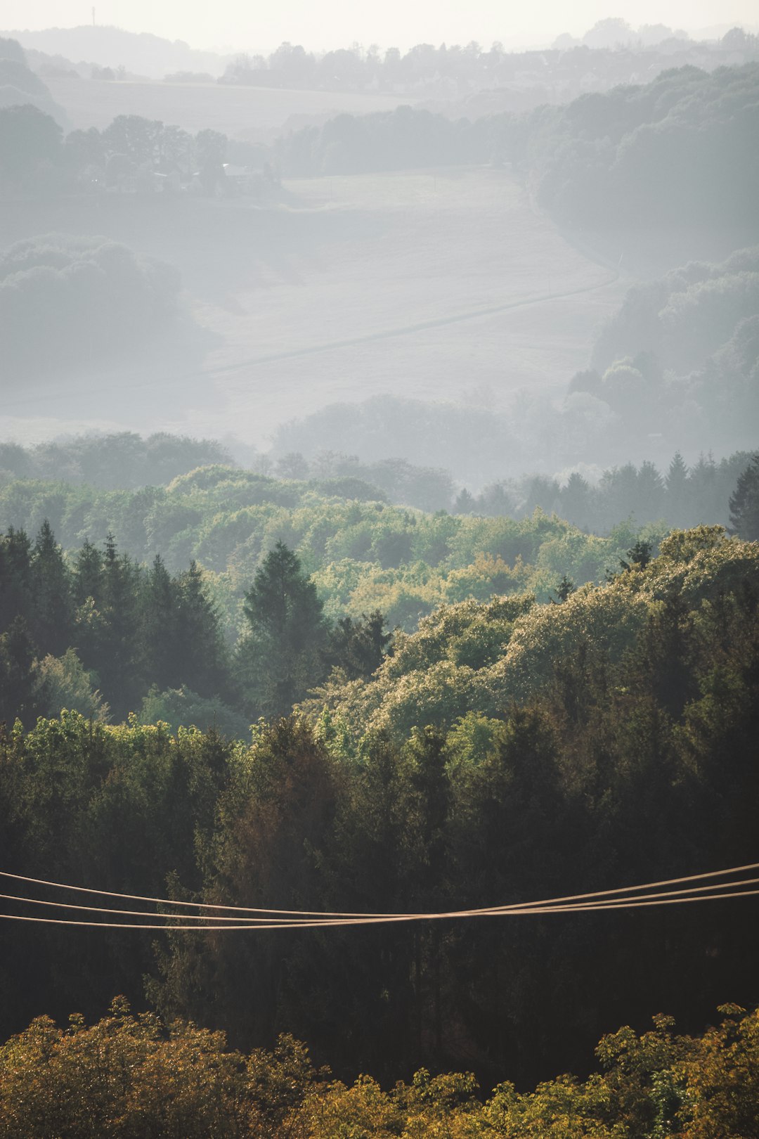 green trees on mountain during daytime