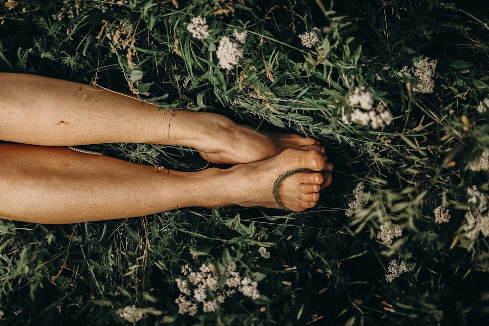 persons feet on white flowers