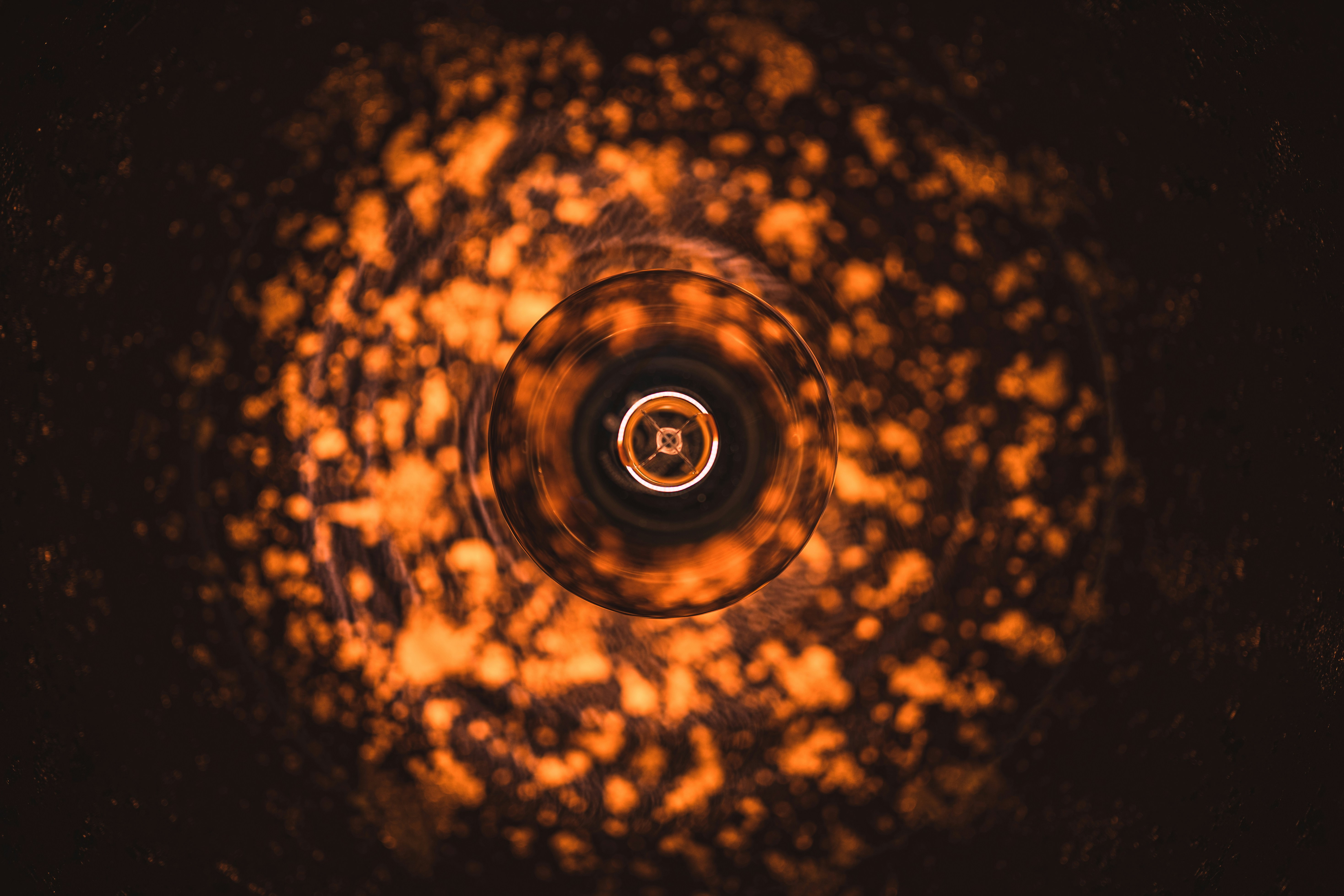 Photo by jakobustrop