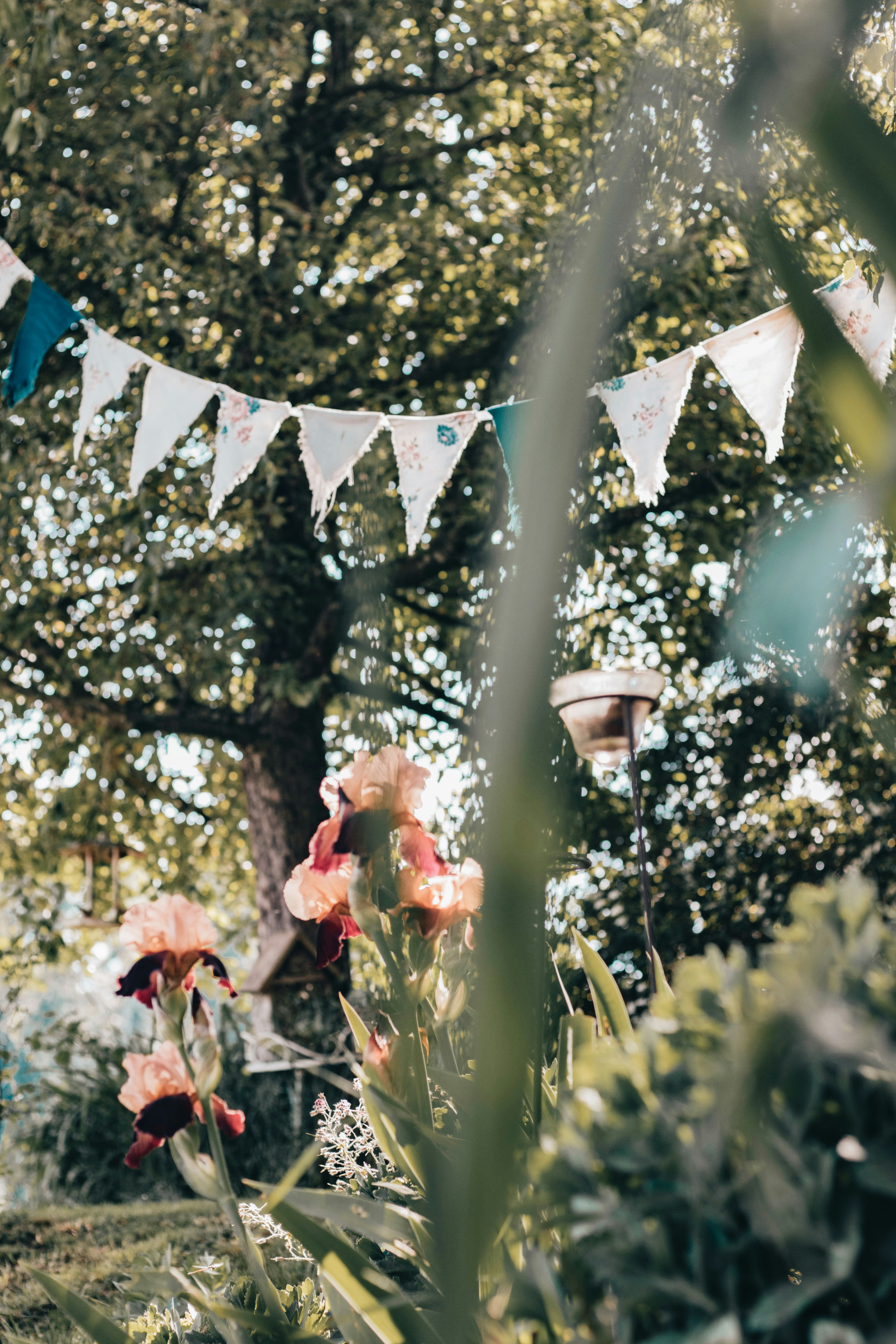 Photo by nina_mercado