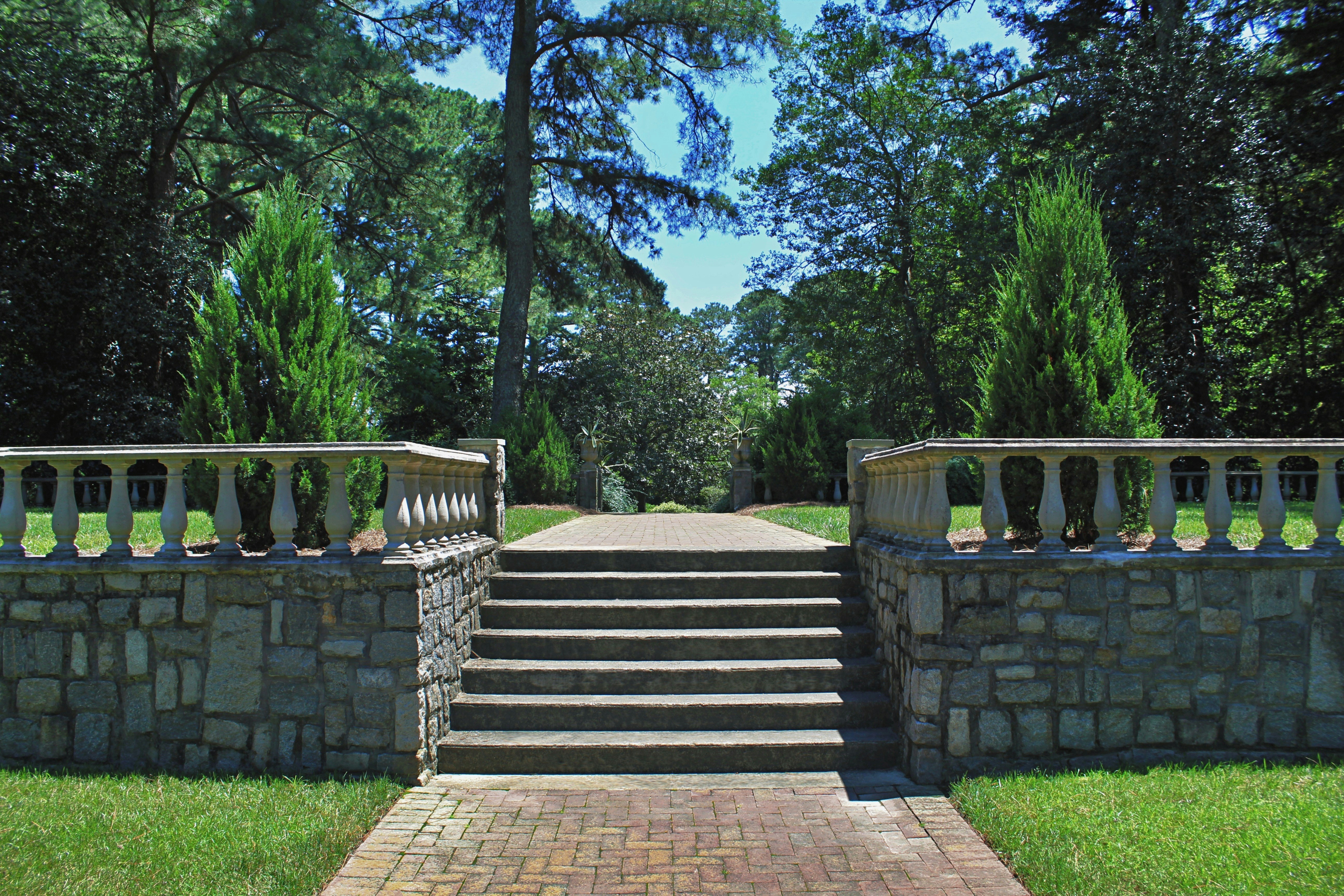 brown wooden stairs near green trees during daytime