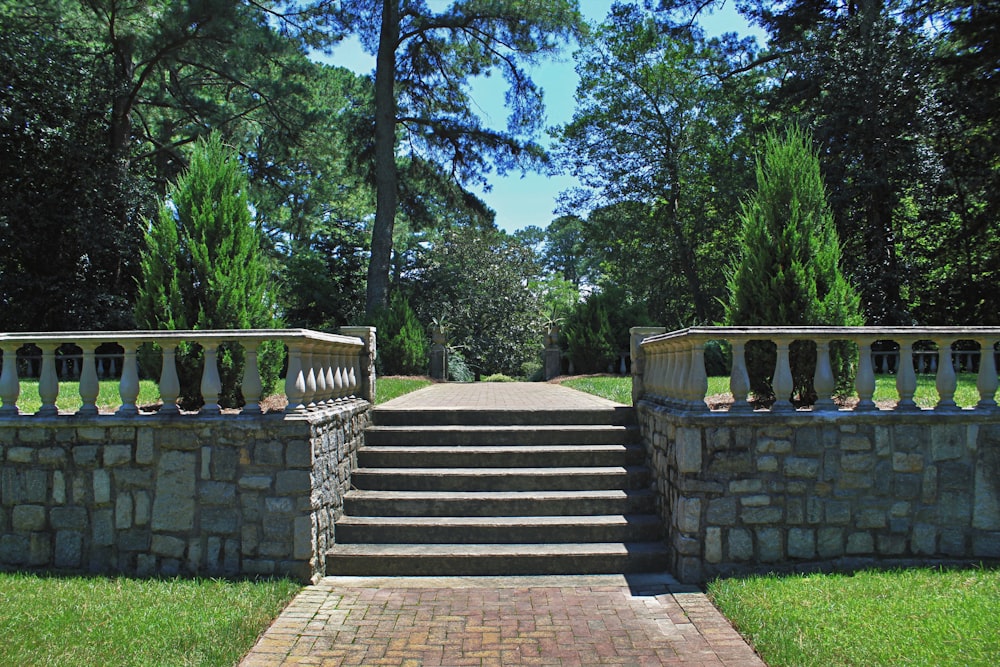 brown wooden stairs near green trees during daytime