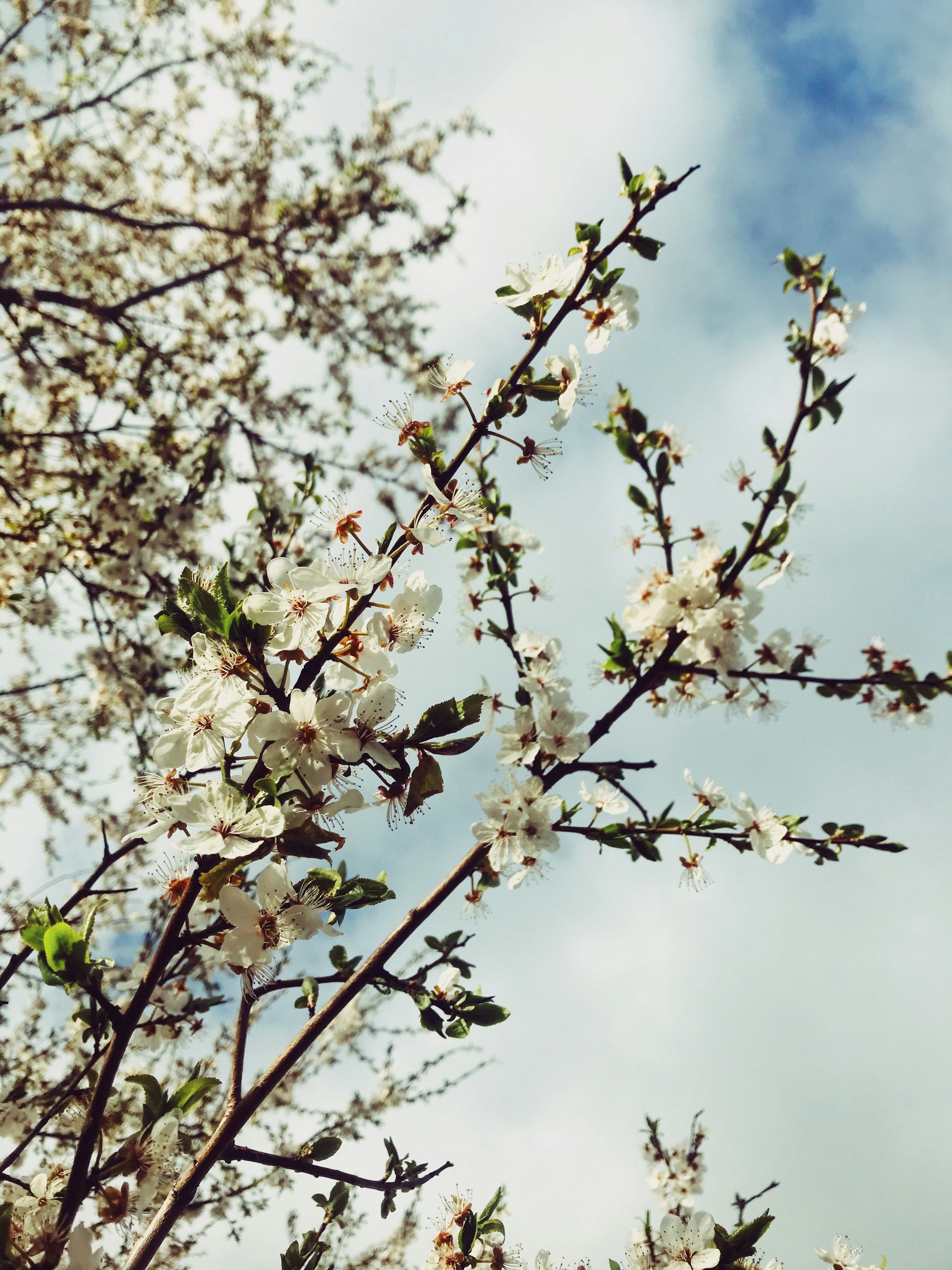 Photo by matheusfrade