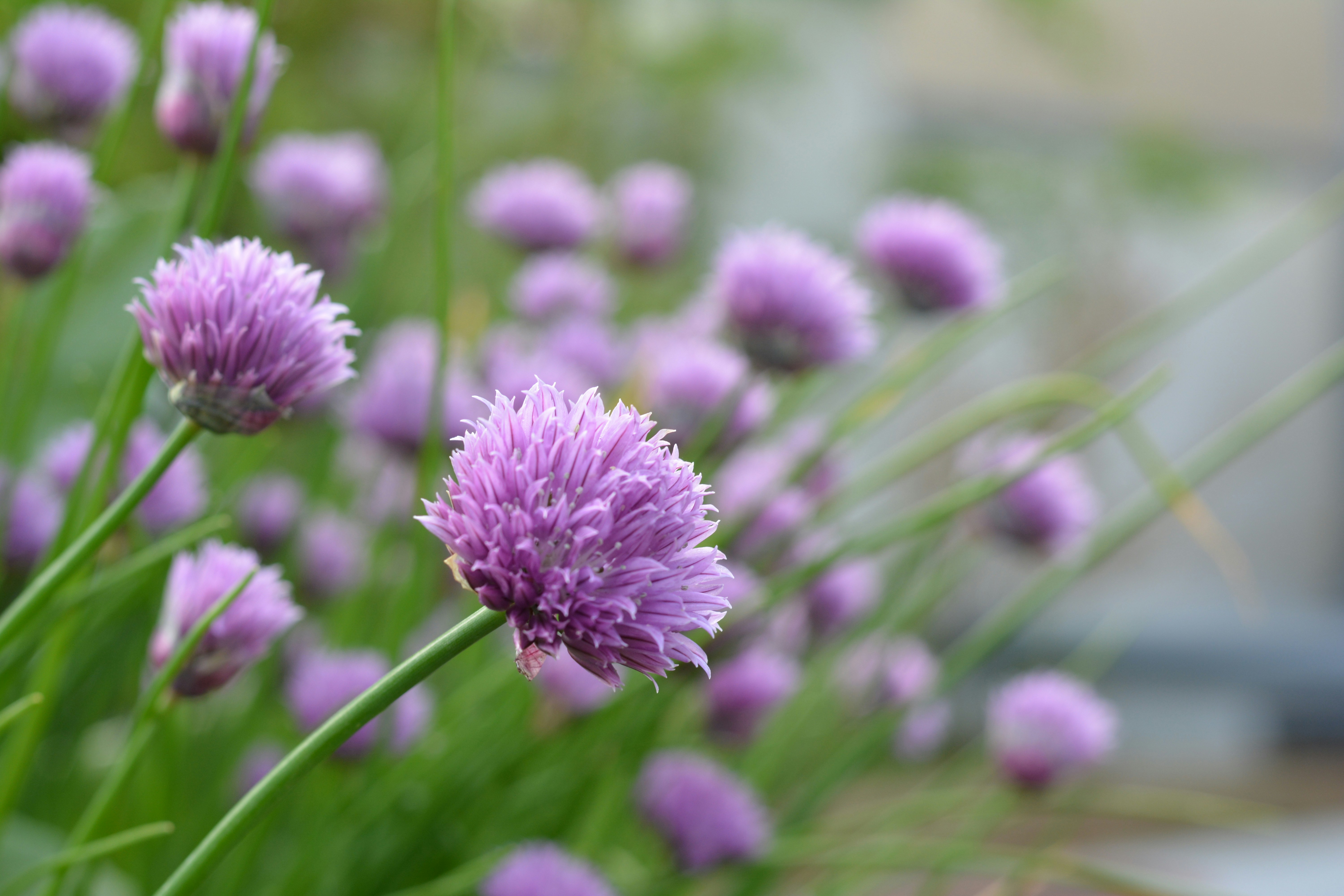 Photo by natashaguryanova