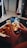 Hands holding a smartphone capturing a photo of a roasted chicken dish on a table. A glass of red wine and a bowl with other food are also present nearby, indicating a dining setting.