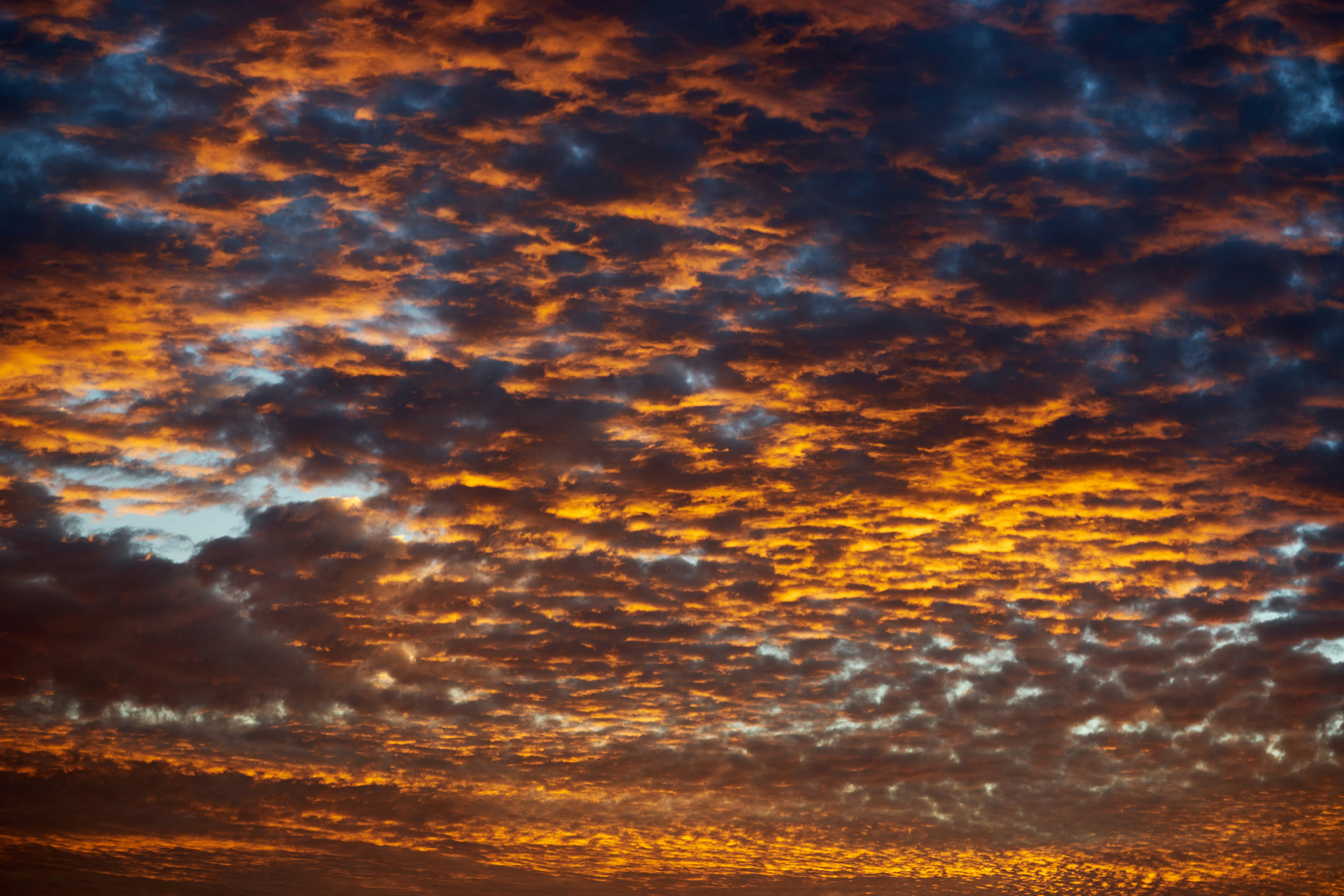 Photo by wolfgang_hasselmann